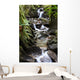 waterfall in fern gully Wall Mural