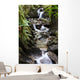 waterfall in fern gully Wall Mural