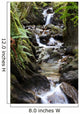 waterfall in fern gully Wall Mural