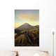 View Of Craters Ingolden Light Wall Mural