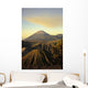 View Of Craters Ingolden Light Wall Mural