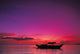Purple Orange Sky Wall Mural