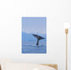Fluke Of A Humpback Whale Wall Mural