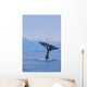Fluke Of A Humpback Whale Wall Mural