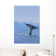 Fluke Of A Humpback Whale Wall Mural