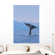 Fluke Of A Humpback Whale Wall Mural