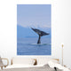 Fluke Of A Humpback Whale Wall Mural
