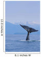 Fluke Of A Humpback Whale Wall Mural