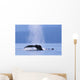 Fluke Of A Humpback Whale Wall Mural