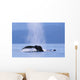 Fluke Of A Humpback Whale Wall Mural