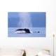 Fluke Of A Humpback Whale Wall Mural