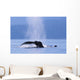 Fluke Of A Humpback Whale Wall Mural