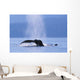 Fluke Of A Humpback Whale Wall Mural