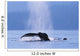 Fluke Of A Humpback Whale Wall Mural