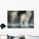 Group Of Humpback Whales Surfacing Wall Mural