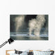 Group Of Humpback Whales Surfacing Wall Mural