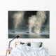 Group Of Humpback Whales Surfacing Wall Mural