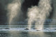 Group Of Humpback Whales Surfacing Wall Mural