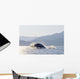 Humpback Whale Breaching Wall Mural
