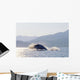 Humpback Whale Breaching Wall Mural