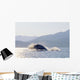 Humpback Whale Breaching Wall Mural
