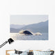 Humpback Whale Breaching Wall Mural
