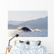 Humpback Whale Breaching Wall Mural