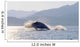 Humpback Whale Breaching Wall Mural