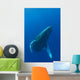Hawaii, Humpback Whale Swimming In Deep Blue Ocean Wall Mural