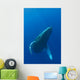 Hawaii, Humpback Whale Swimming In Deep Blue Ocean Wall Mural