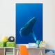 Hawaii, Humpback Whale Swimming In Deep Blue Ocean Wall Mural