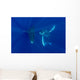 Hawaii, Two Humpback Whales Swimming In Deep Blue Ocean Wall Mural