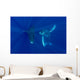 Hawaii, Two Humpback Whales Swimming In Deep Blue Ocean Wall Mural