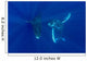 Hawaii, Two Humpback Whales Swimming In Deep Blue Ocean Wall Mural
