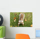 Squirrel Wall Mural