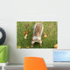Squirrel Wall Mural
