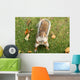 Squirrel Wall Mural
