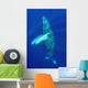 Hawaii, Humpback Whale Swimming In Deep Blue Ocean Wall Mural