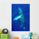 Hawaii, Humpback Whale Swimming In Deep Blue Ocean Wall Mural