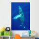 Hawaii, Humpback Whale Swimming In Deep Blue Ocean Wall Mural