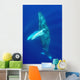Hawaii, Humpback Whale Swimming In Deep Blue Ocean Wall Mural