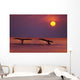 Inside Passage 2 Humpback Whales Fluke By A Fiery Sunset Wall Mural