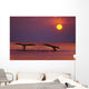 Inside Passage 2 Humpback Whales Fluke By A Fiery Sunset Wall Mural