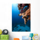 Fish Ocean and Coral
