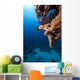 Fish Ocean and Coral