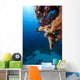 Fish Ocean and Coral