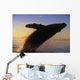 Alaska, Panhandle, Inside Passage, Humpback Whale Breaching At Sunset Wall Mural