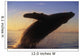 Alaska, Panhandle, Inside Passage, Humpback Whale Breaching At Sunset Wall Mural
