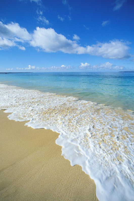 Calm Turquoise Ocean Wall Mural
