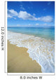 Calm Turquoise Ocean Wall Mural
